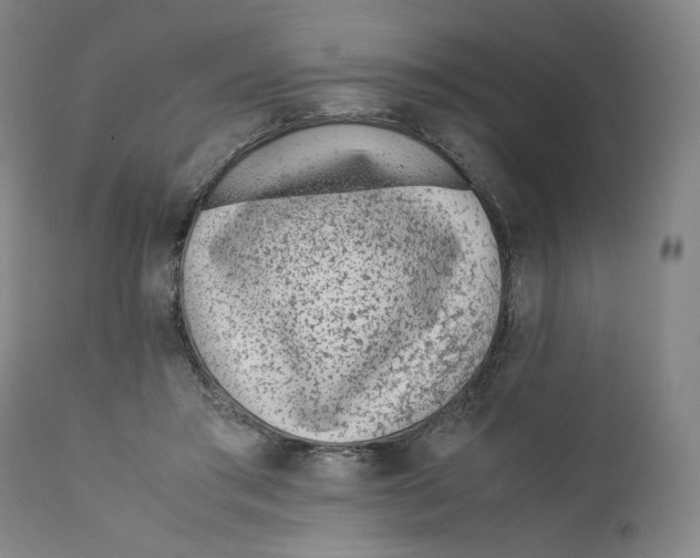 X0000110730405200907101433