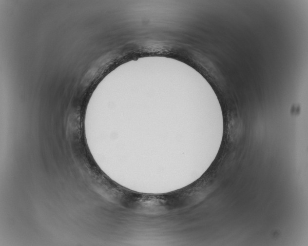 X0000110730407200907101433