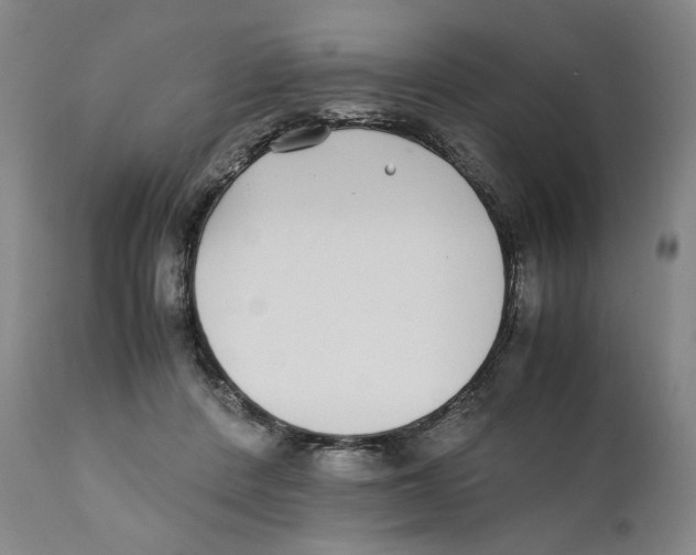 X0000110730408200907101433