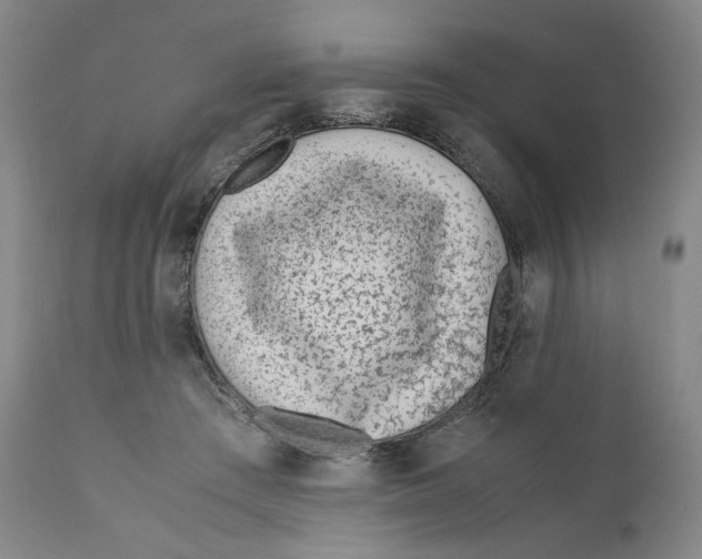 X0000110730409200907101433