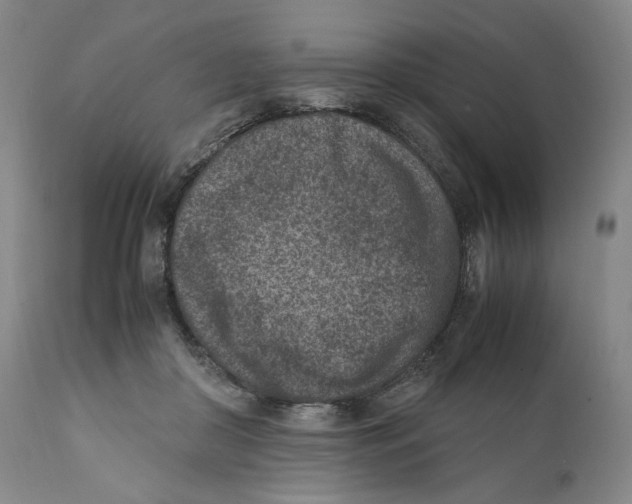 X0000110730410200907101433
