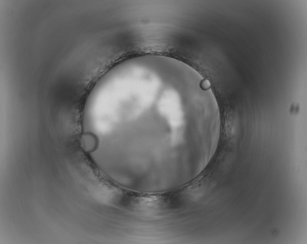 X0000110730411200907101433