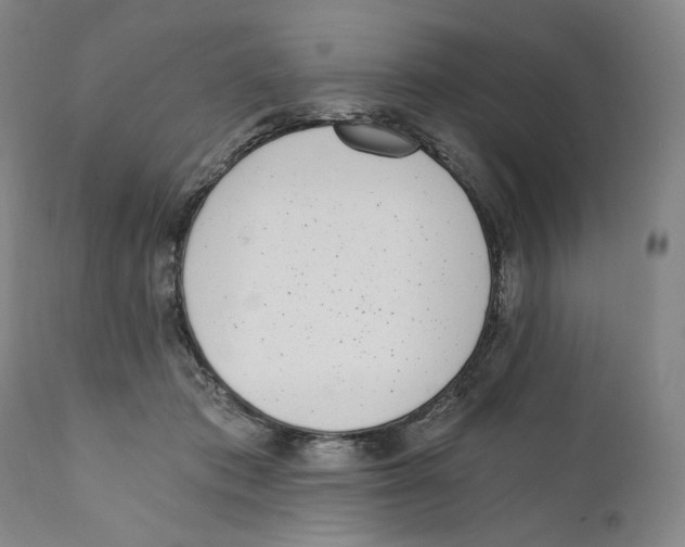 X0000110730413200907101433