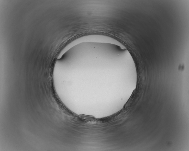 X0000110730415200907101433