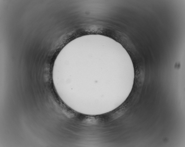 X0000110730416200907101433
