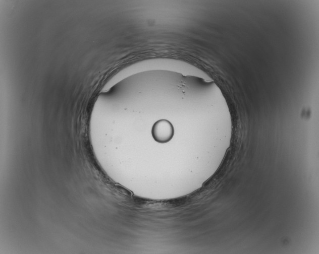 X0000110730417200907101433