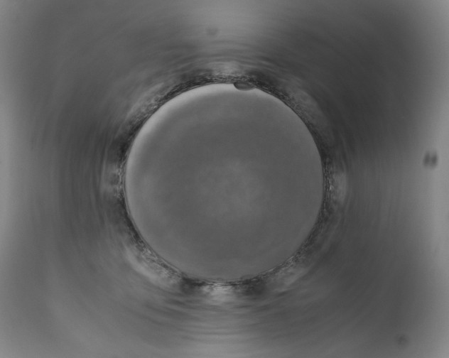 X0000110730419200907101433
