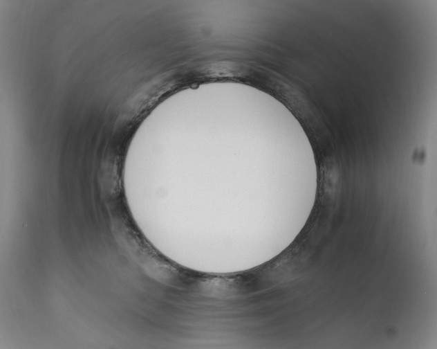 X0000110730422200907101433