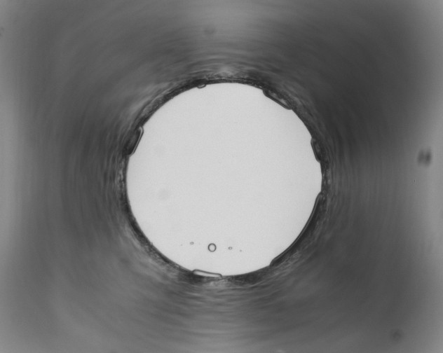 X0000110730423200907101433