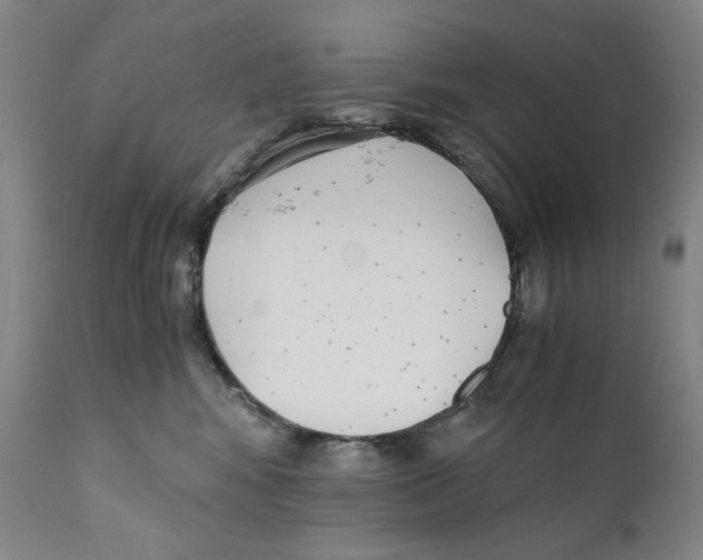 X0000110730424200907101433