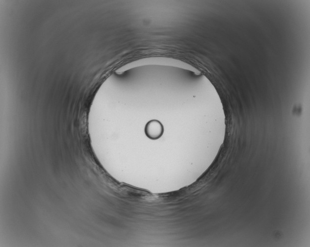 X0000110730425200907101433