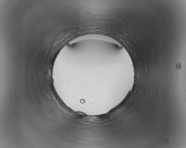 X0000110730427200907101433