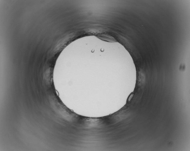 X0000110730428200907101433