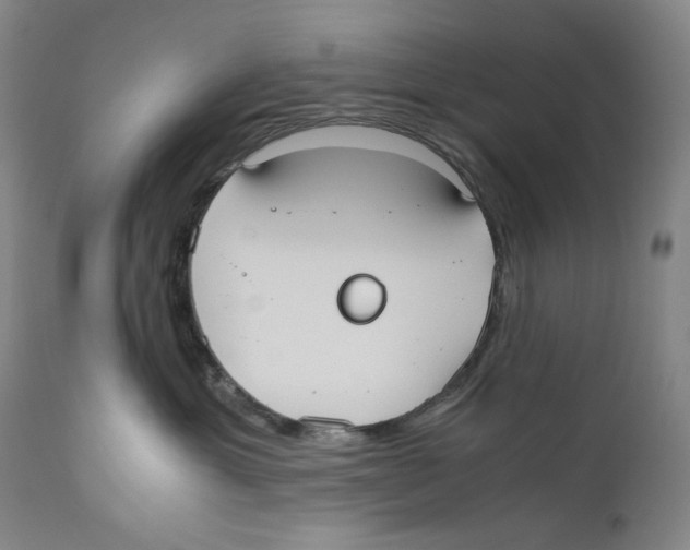 X0000110730429200907101433