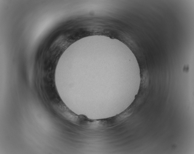 X0000110730430200907101433