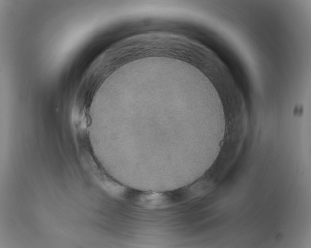 X0000110730431200907101433