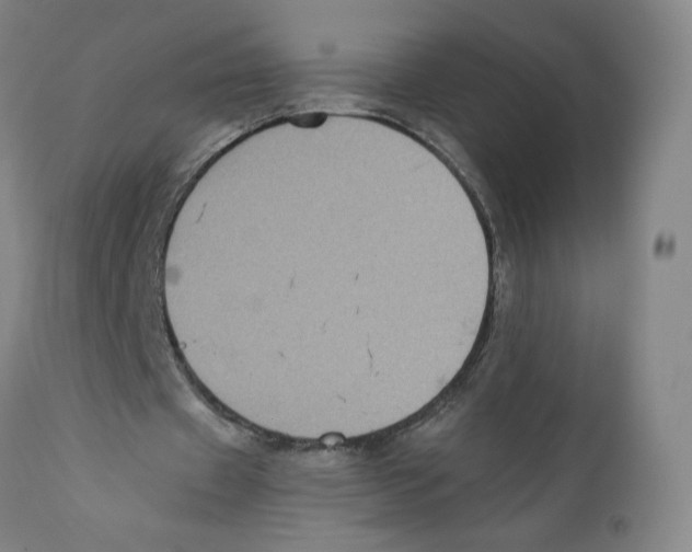 X0000110730433200907101432
