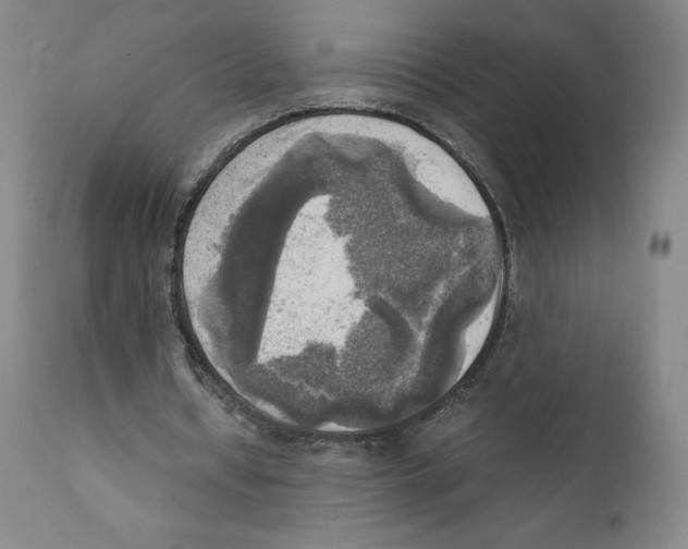 X0000110730434200907101432