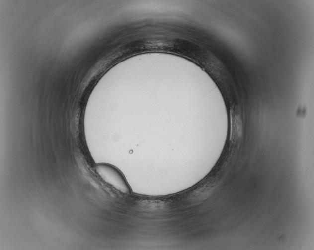 X0000110730435200907101432