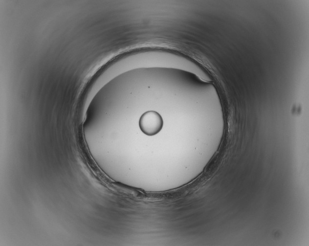 X0000110730436200907101432