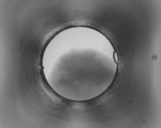 X0000110730438200907101432