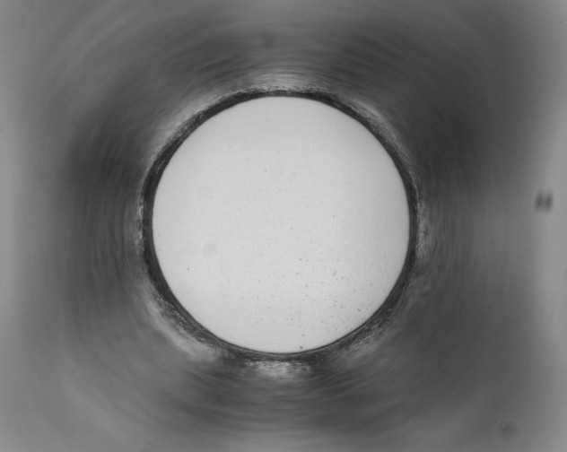 X0000110730439200907101432