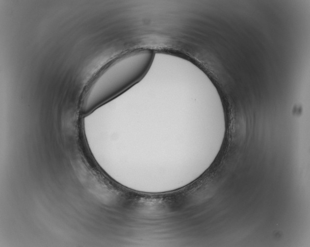 X0000110730440200907101432