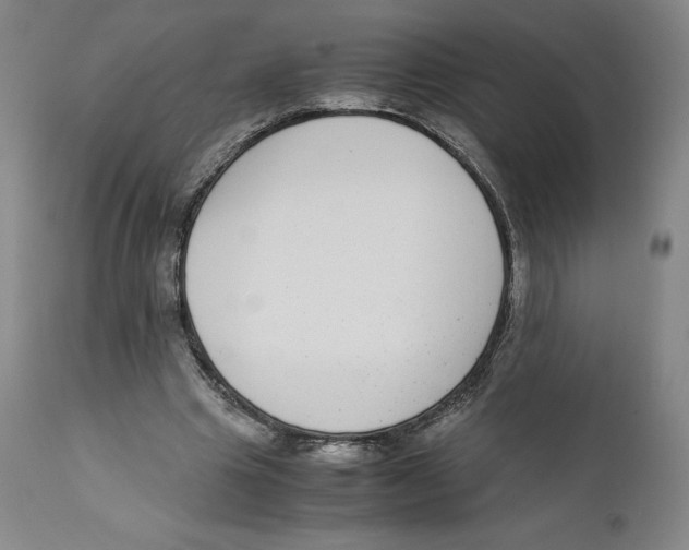 X0000110730441200907101432