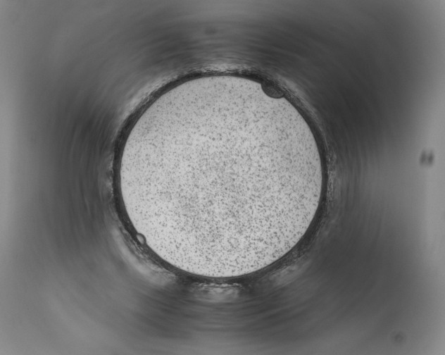 X0000110730443200907101432