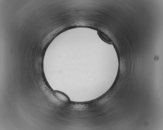 X0000110730445200907101432