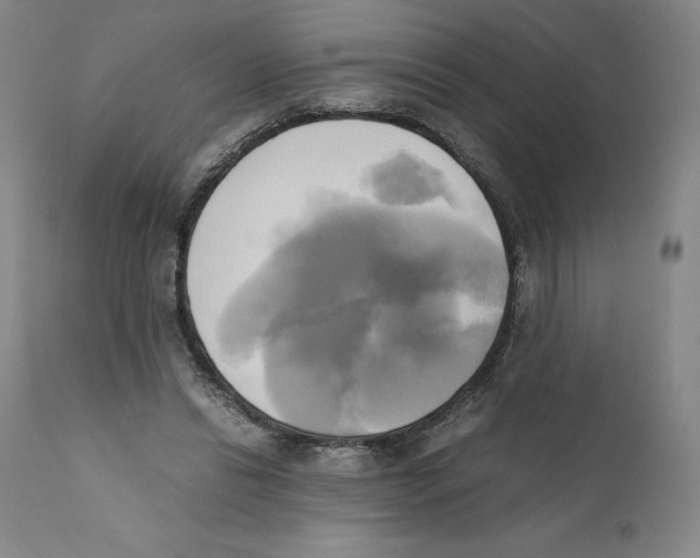 X0000110730446200907101432