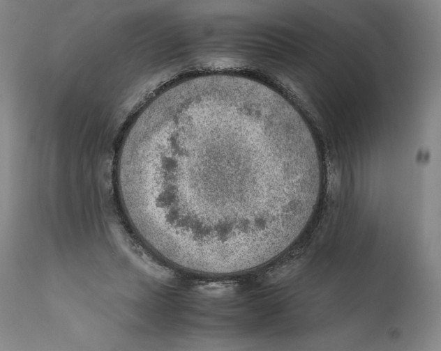 X0000110730447200907101432