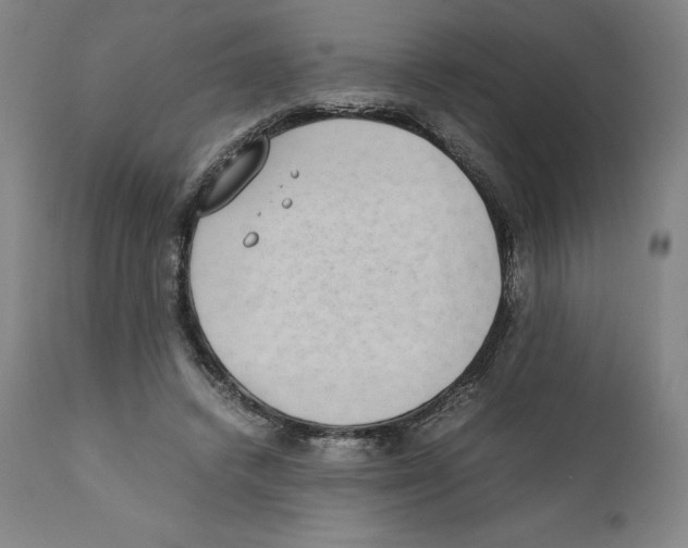 X0000110730448200907101432
