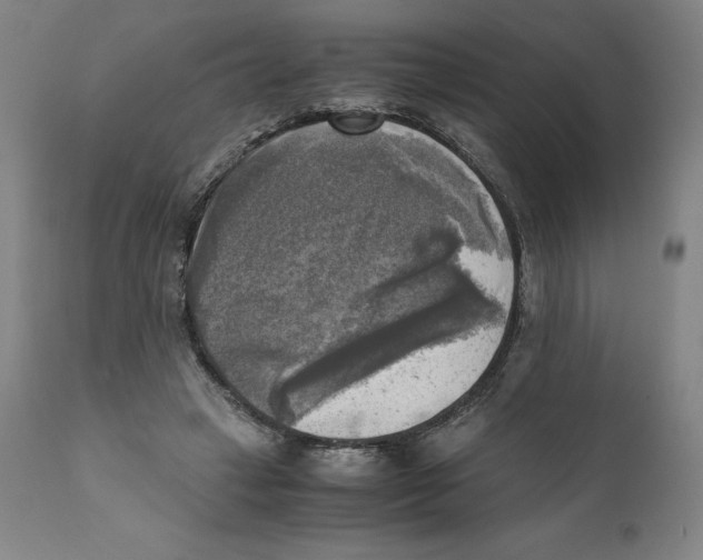 X0000110730449200907101432