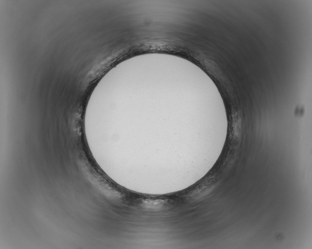 X0000110730450200907101432