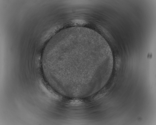 X0000110730451200907101433