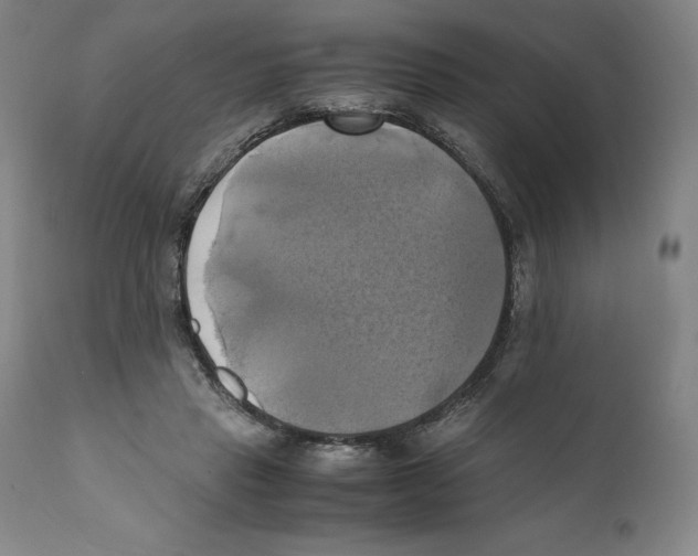 X0000110730453200907101433