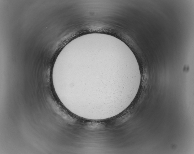 X0000110730454200907101433