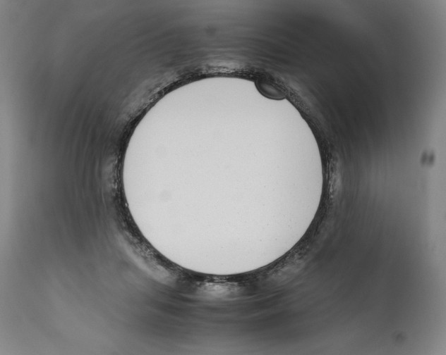 X0000110730455200907101433