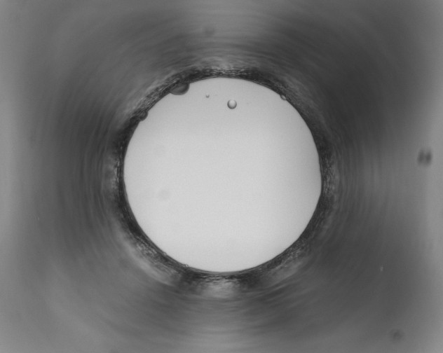 X0000110730456200907101433