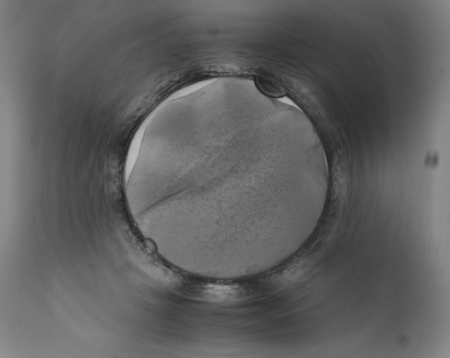 X0000110730457200907101433