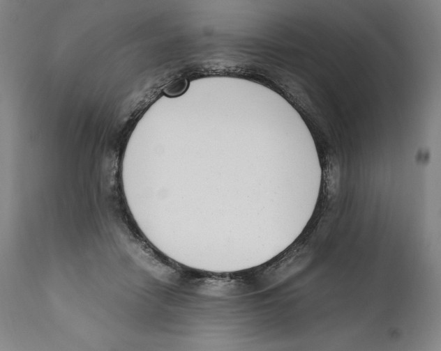 X0000110730458200907101433