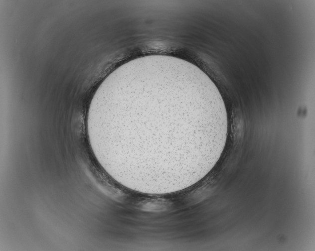 X0000110730459200907101433