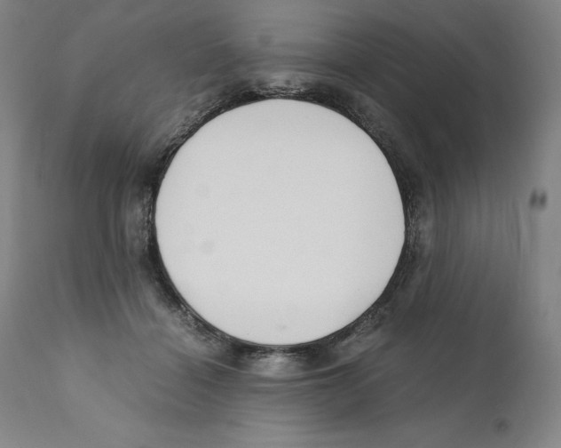 X0000110730460200907101433