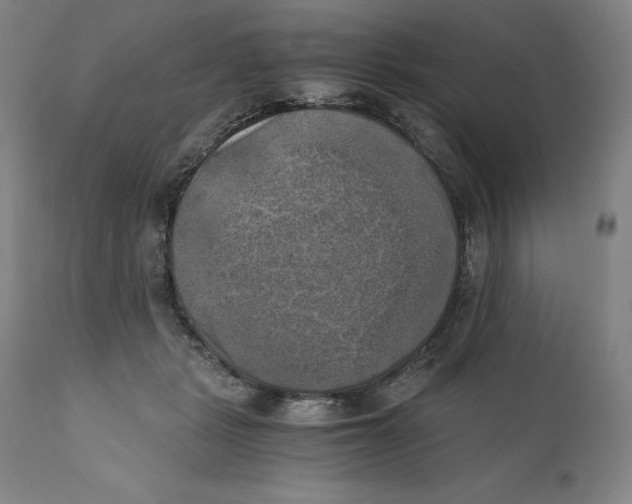X0000110730461200907101433