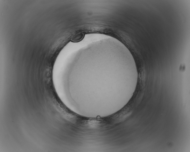 X0000110730462200907101433