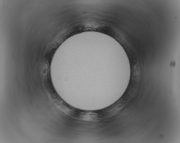 X0000110730463200907101433