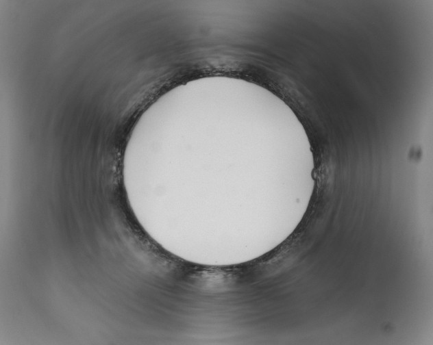 X0000110730464200907101433