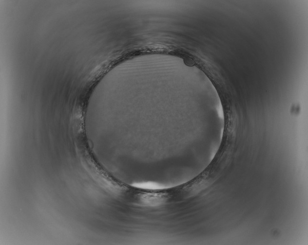 X0000110730465200907101433