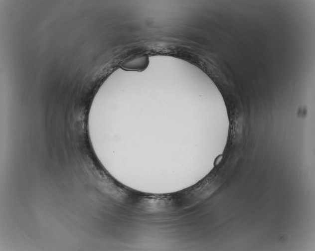 X0000110730466200907101433